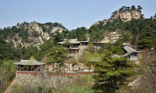 北镇森林公园春季门票优惠价格到底是几块？