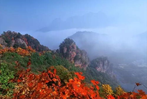 关门山：一场被过度包装的秋日骗局