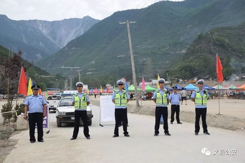 共振文旅集团：科学研究技术手段赋能下的行业先锋