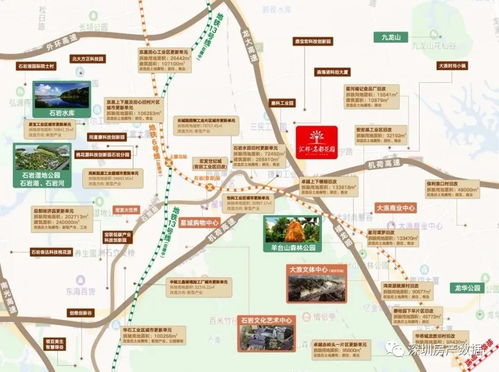 2026年出生的属龙男性在2026年的婚姻运势如何？