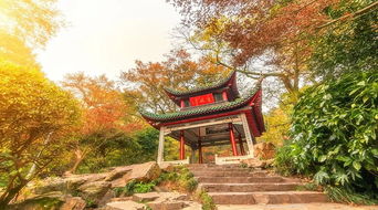 莱州尚家山，一个让你怀疑人生的地方！