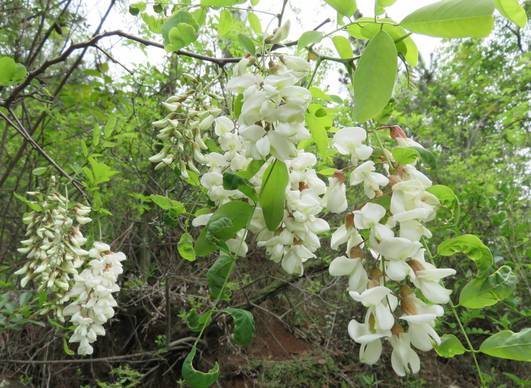 个人强烈推荐！（独家秘笈！）