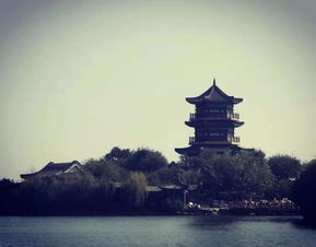 夏日清凉， 东昌湖邀你共舞