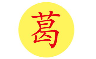 葛姓女孩取名艺术创作：探索优雅与个性的完美结合