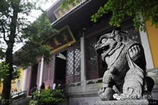 灵隐寺求签：签文堪不懂