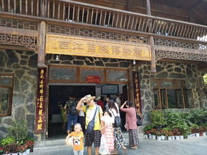 美食街之舌尖上的陷阱