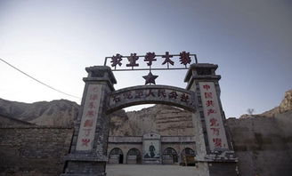 #南京博物院#——文物细节放大秀点击了解梗多