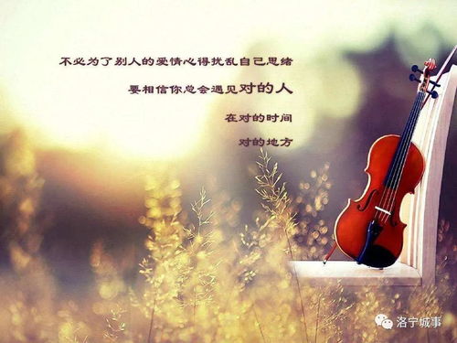 风中的较低语