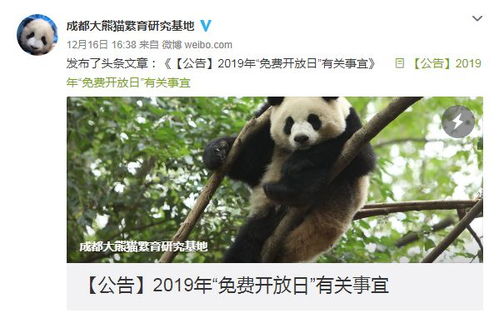 成都熊猫基地的惨痛教训
