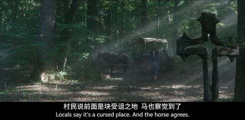 炎热爱如毒药