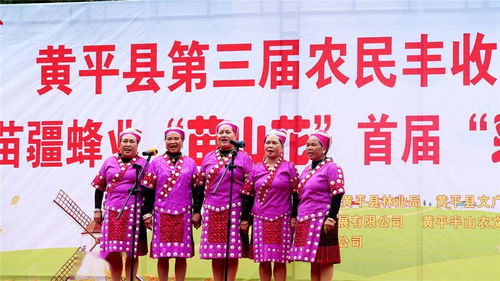 贵州黄平苗族节日文化，传承瑰宝爆款来袭！