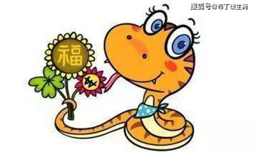 属蛇的人