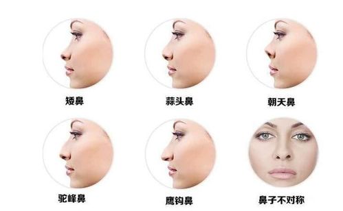 2. 鼻子：你的提款机