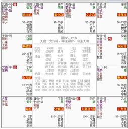 八字和紫薇命盘是同一种命理体系吗？它们之间有何区别？