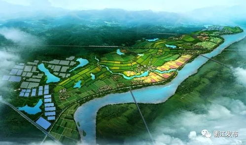 第四章：运营迭代—从试运行到规模化扩张的一条龙服务体系