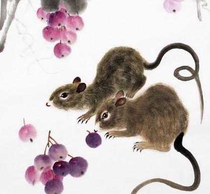 2008年属鼠人2026年农历十月运势和学业如何？