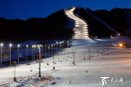 夜幕降临：灯光与雪交织成梦幻之舞