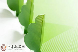 根据对公司的期望取名