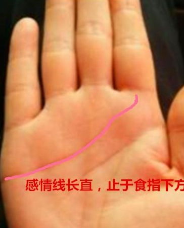 如何挑选一本权威的看手相书籍？