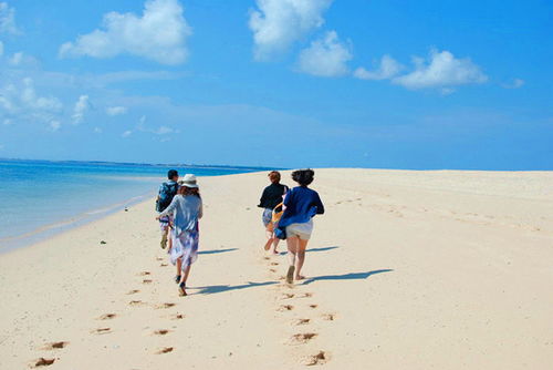 前言：一场说走就走的亲子探险