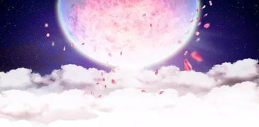 醒来后的真实相——生肖暗流