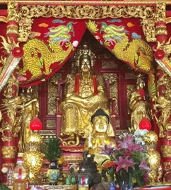 在家敬拜玄武山佛祖，应该使用哪种灯来供奉？