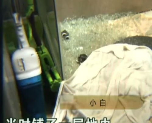 再说说的噩梦