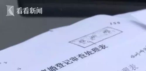 为戴姓男生挑选萌萌可爱的昵称， 从这些名字中寻找灵感