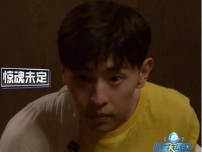 害怕的蔓延与五行相生相克的混乱