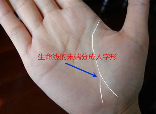 四、 手腕竖纹密布——血气方刚，桃花喷泉