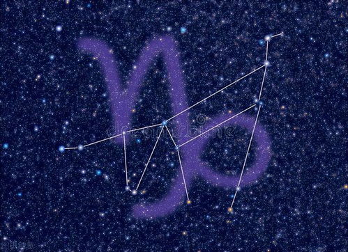 摩羯座：老黄牛也能翻身