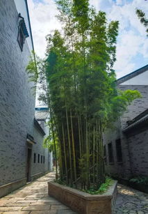 颜色这块儿 最玄学也最伤钱包
