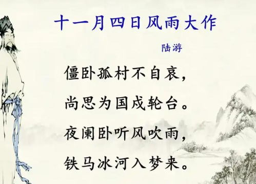 十一月四日当天的天气情况是怎样的？