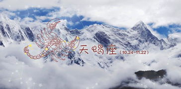 星座发疯大揭秘