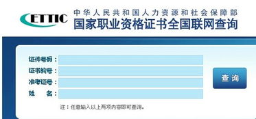 如何识别具有高成就和顶级魅力的女性八字特征？