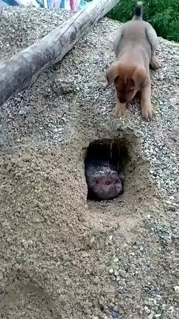 无法逃脱