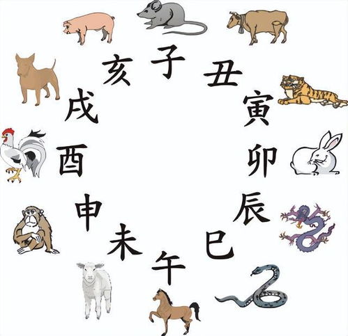 夫人生肖代表什么，夫妻双方分别代表哪些生肖？