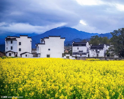 江西婺源四天三夜瞎逛指南！2026年黄历凶吉预测