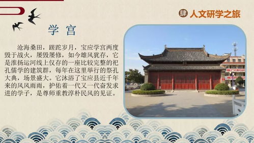 宝应江阴魔幻现实主义之旅：一场充满意外与尖叫的奇妙冒险