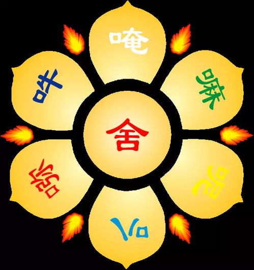 第三章：诅咒降临