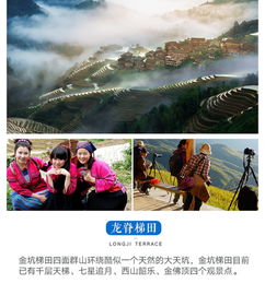 六、 乱入段落：随机噪音与碎碎念