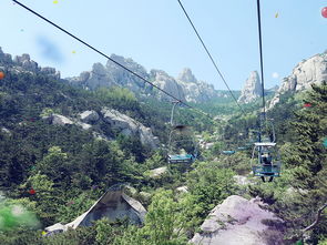 崂山炎热门景点天气指南