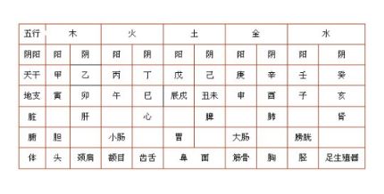 如何下载每日五行色穿衣搭配指南？