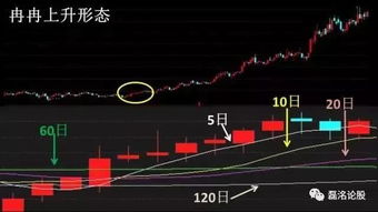 变现的钱都是股民的