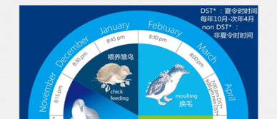 魔幻现实主义购票指南