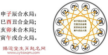 3. 生肖星座穿插：点睛之笔
