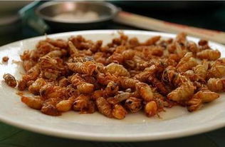 魏集全驴宴：百年餐饮文化底蕴的传承
