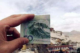 最终还是 张先生成功采购了门票，并顺利参观了布达拉宫。他感叹道：“早了解有这么更多弯弯绕，我就早点准备了！”