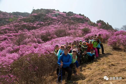四、五一旅行市场环境崭新风貌