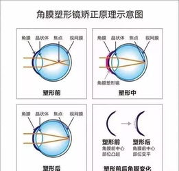 眼镜是封印！风水大师都不敢说的真相